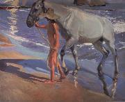 The bathing of the horse Joaquin Sorolla